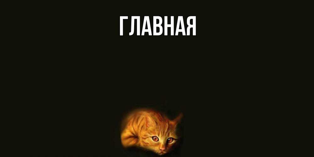 Открытка на каждый день с именем, настя Главная кот Прикольная открытка с пожеланием онлайн скачать бесплатно 