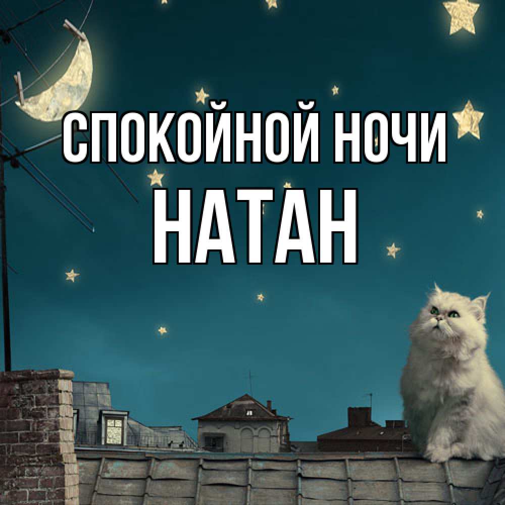 Открытка на каждый день с именем, Натан Спокойной ночи белый кот сидит на крыше Прикольная открытка с пожеланием онлайн скачать бесплатно 