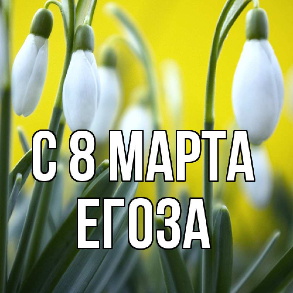 Открытка на каждый день с именем, егоза C 8 МАРТА весенние цветы Прикольная открытка с пожеланием онлайн скачать бесплатно 
