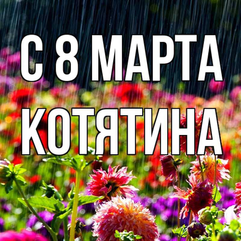 Картинка C 8 МАРТА, Котятина