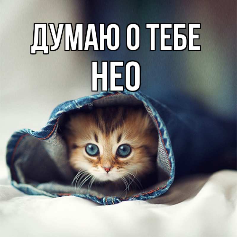 Картинка Думаю о тебе, Нео