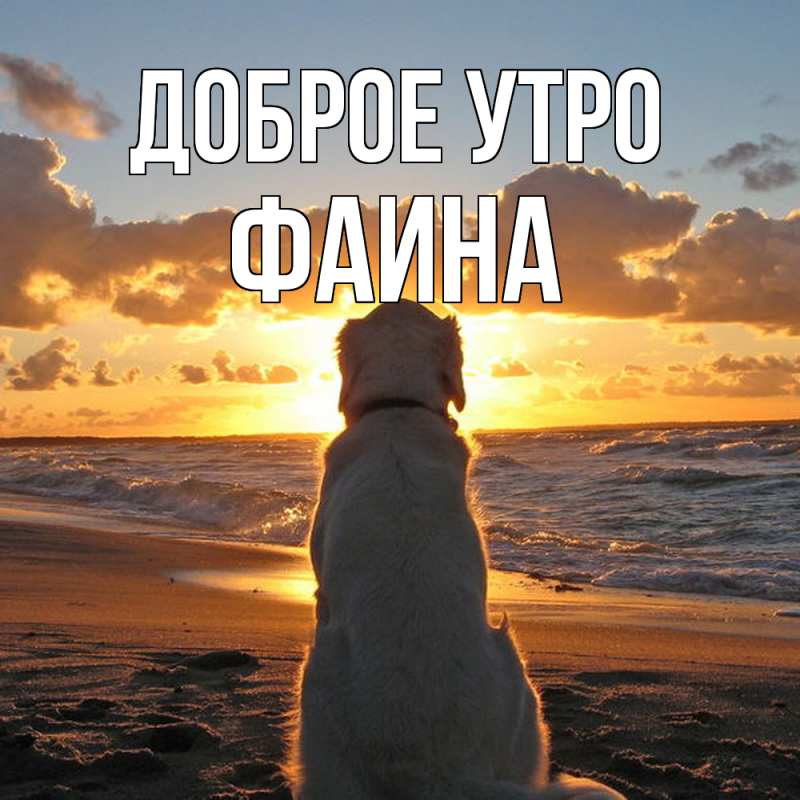 Картинка Доброе утро, Фаина
