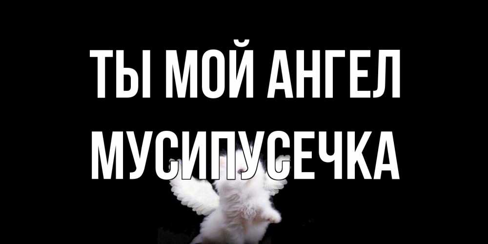 Открытка на каждый день с именем, Мусипусечка Ты мой ангел Кот ангел Прикольная открытка с пожеланием онлайн скачать бесплатно 
