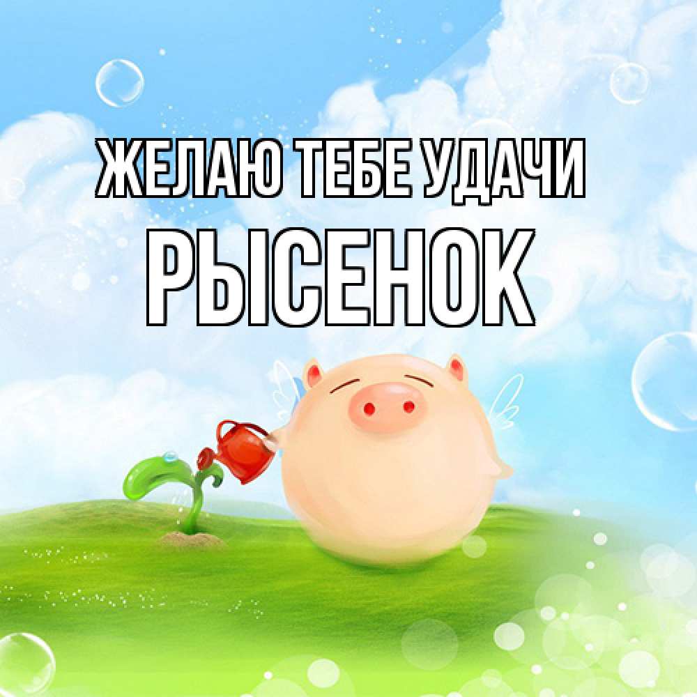 Открытка на каждый день с именем, рысенок Желаю тебе удачи поросенок поливает цветок. летнее настроение Прикольная открытка с пожеланием онлайн скачать бесплатно 