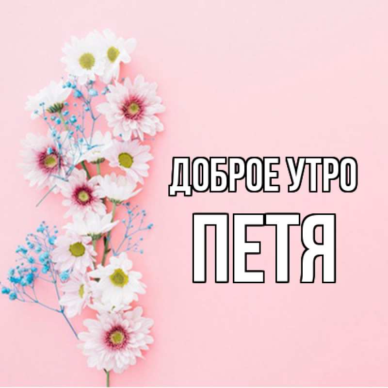Картинка Доброе утро, Петя