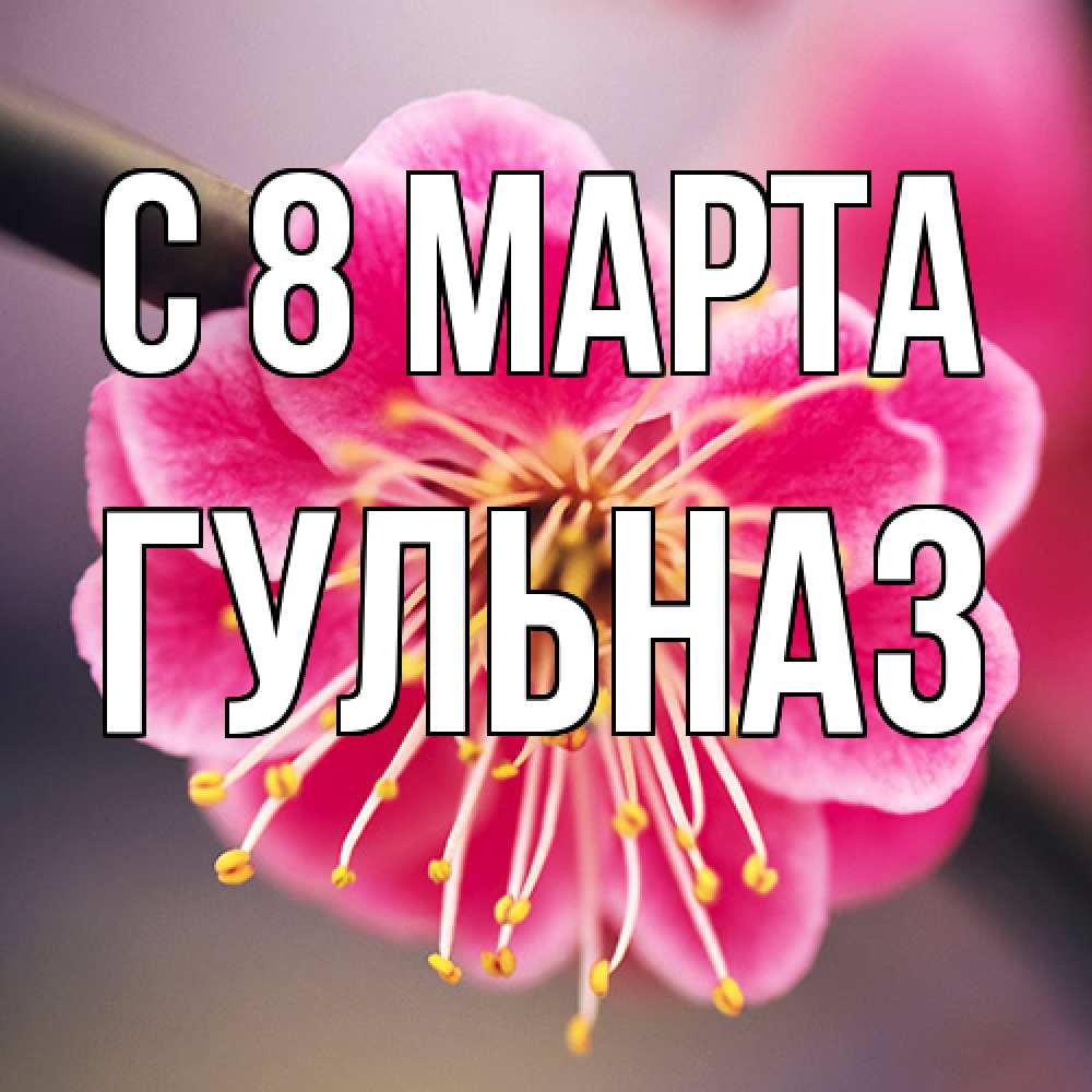 Открытка на каждый день с именем, Гульназ C 8 МАРТА цветы Прикольная открытка с пожеланием онлайн скачать бесплатно 