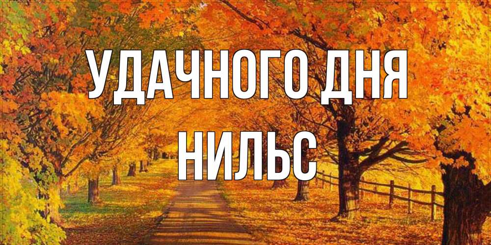Открытка на каждый день с именем, Нильс Удачного дня деревья с осенними листьями Прикольная открытка с пожеланием онлайн скачать бесплатно 