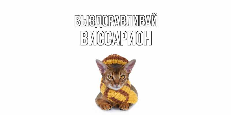 Картинка Выздоравливай, Виссарион