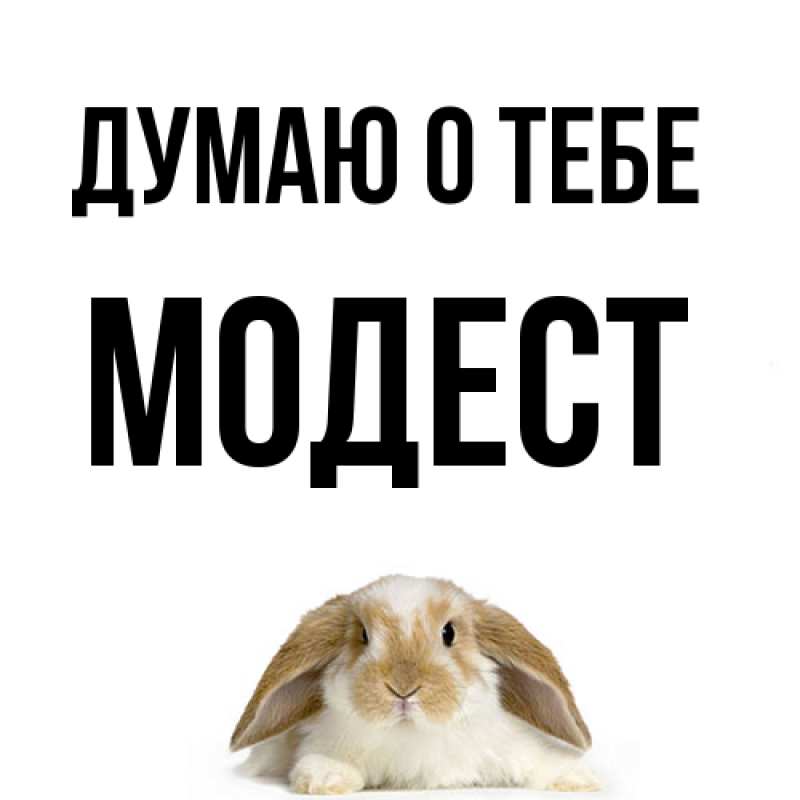 Картинка Думаю о тебе, Модест