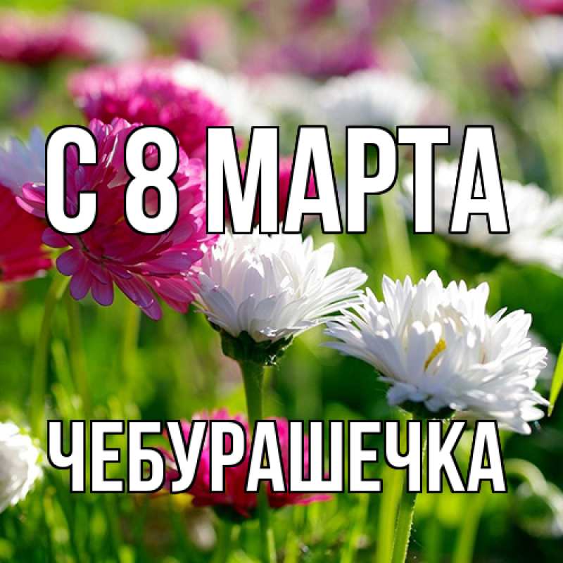 Картинка C 8 МАРТА, Чебурашечка