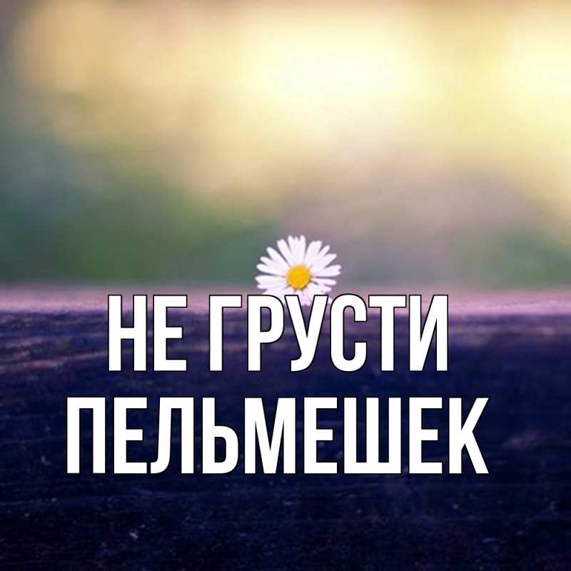 Картинка Не грусти, пельмешек