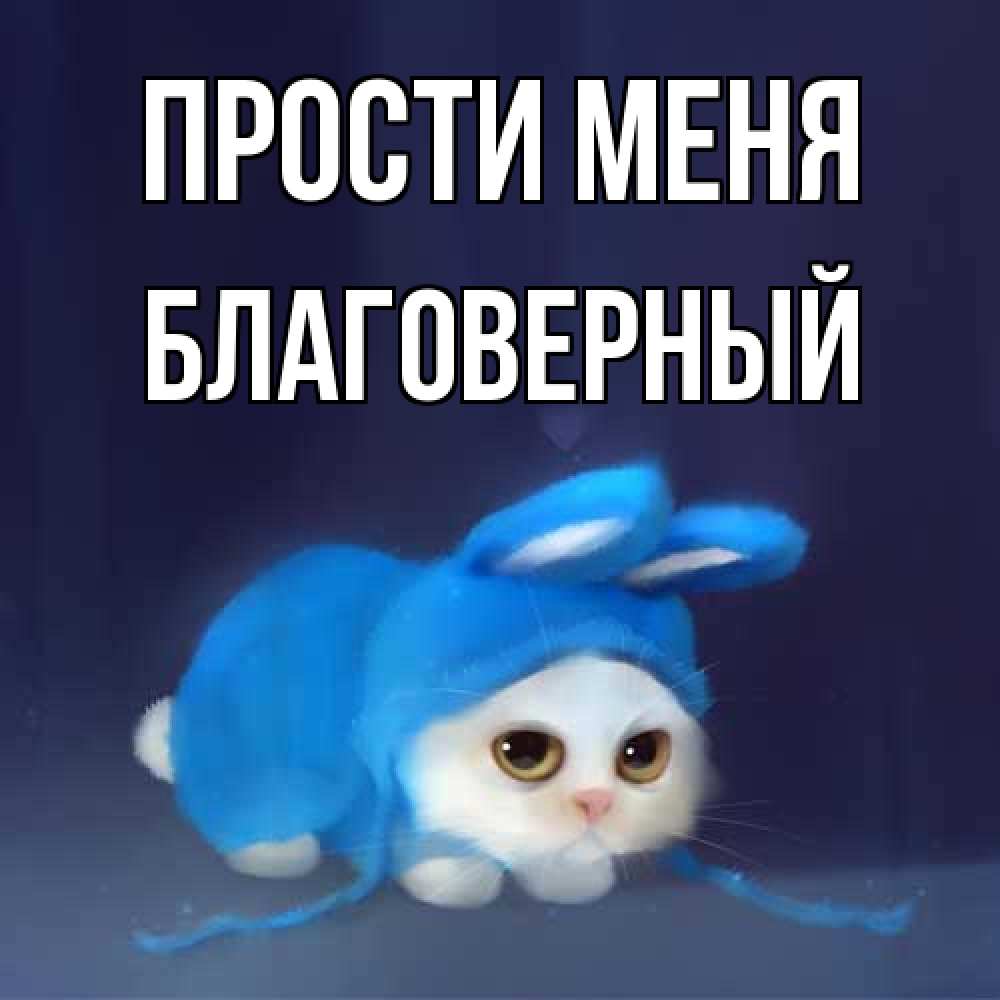 Открытка на каждый день с именем, Благоверный Прости меня невинный котозай просит прощения Прикольная открытка с пожеланием онлайн скачать бесплатно 