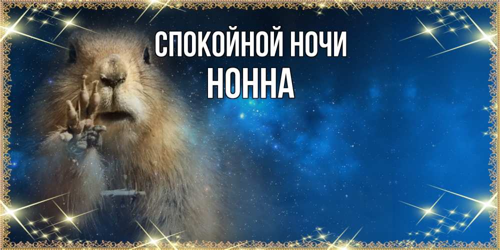 Открытка на каждый день с именем, Нонна Спокойной ночи спокойной ночи сладких снов Прикольная открытка с пожеланием онлайн скачать бесплатно 