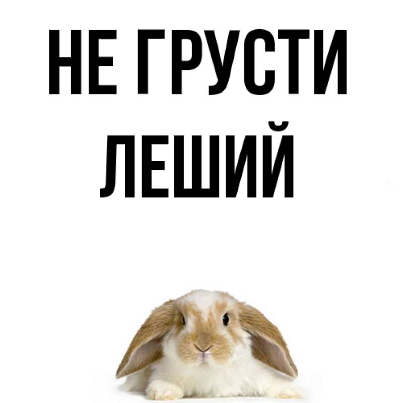 Картинка Не грусти, Леший