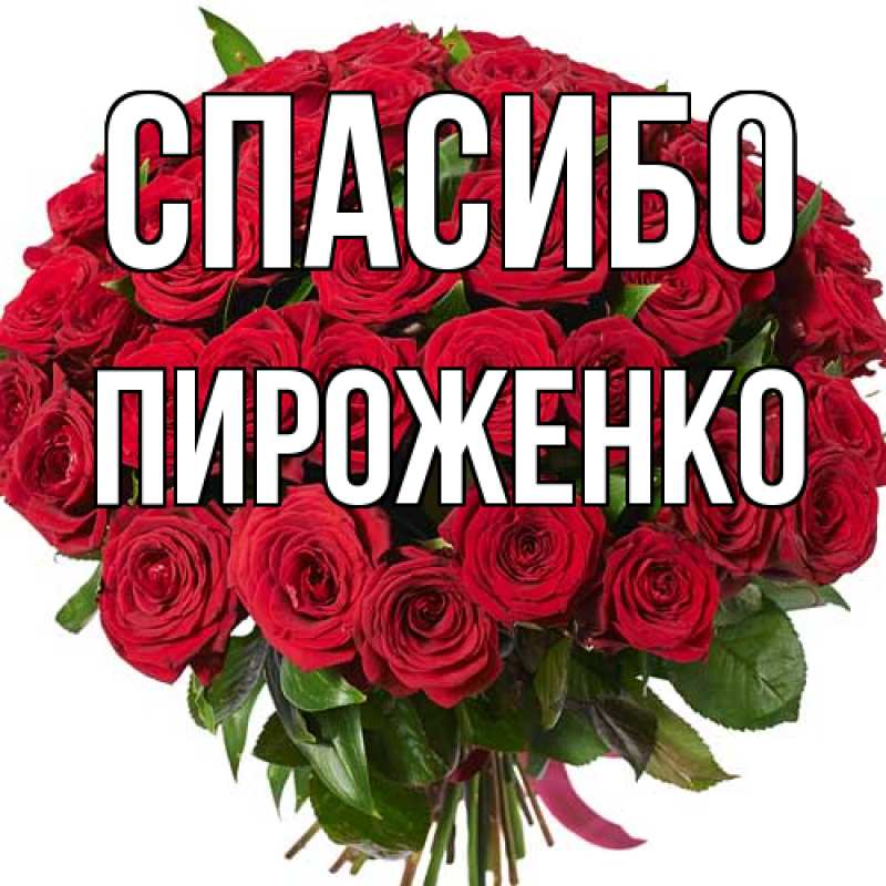 Картинка Спасибо, Пироженко