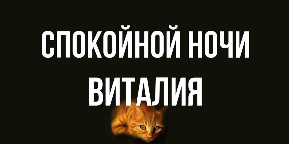 Открытка на каждый день с именем, Виталия Спокойной ночи кот Прикольная открытка с пожеланием онлайн скачать бесплатно 