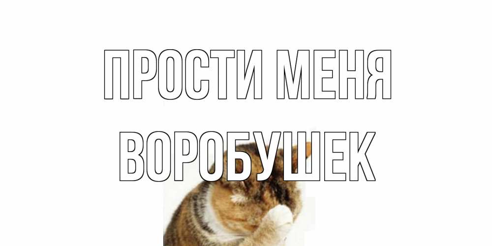 Открытка на каждый день с именем, Воробушек Прости меня кот Прикольная открытка с пожеланием онлайн скачать бесплатно 