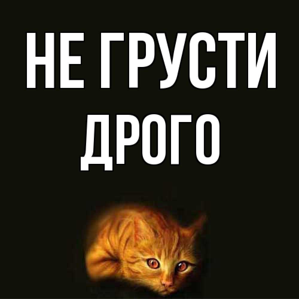 Открытка на каждый день с именем, Дрого Не грусти лежащий кот в темноте Прикольная открытка с пожеланием онлайн скачать бесплатно 