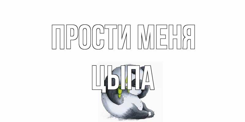 Картинка Прости меня, Цыпа