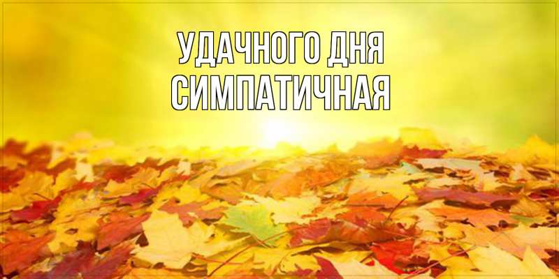 Картинка Удачного дня, симпатичная