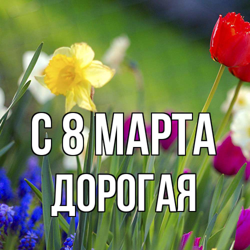 Открытка на каждый день с именем, Дорогая C 8 МАРТА международный женский день 3 Прикольная открытка с пожеланием онлайн скачать бесплатно 