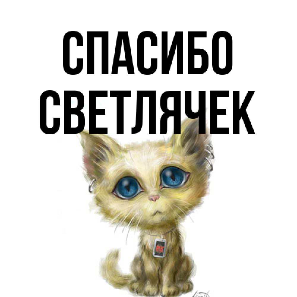 Открытка на каждый день с именем, Светлячек Спасибо рисованный кот благодарит вас Прикольная открытка с пожеланием онлайн скачать бесплатно 