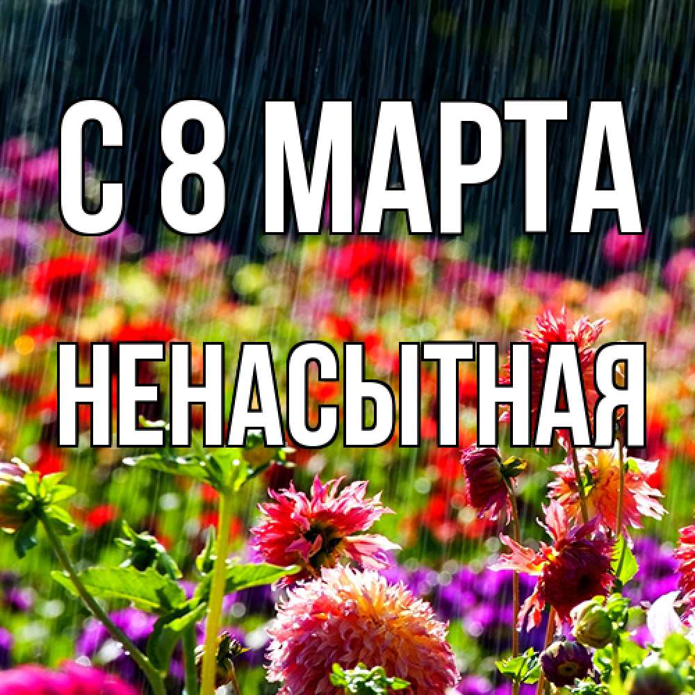 Открытка на каждый день с именем, Ненасытная C 8 МАРТА цветы под дождиком к международному женскому дню Прикольная открытка с пожеланием онлайн скачать бесплатно 