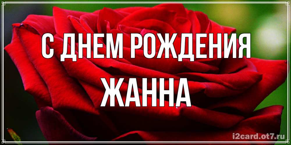 Открытка на каждый день с именем, Жанна С днем рождения розочка очень красивая Прикольная открытка с пожеланием онлайн скачать бесплатно 