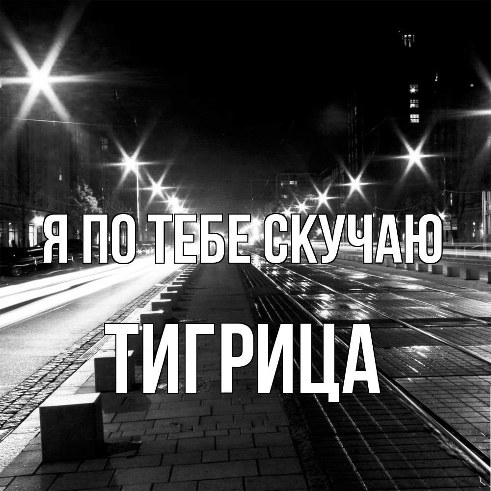 Открытка на каждый день с именем, Тигрица Я по тебе скучаю проспект Прикольная открытка с пожеланием онлайн скачать бесплатно 
