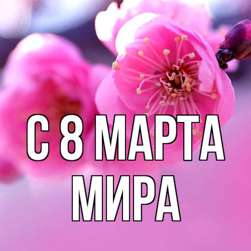 Картинка C 8 МАРТА, Мира