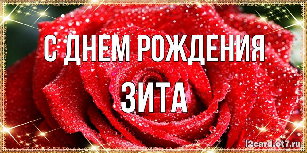 Открытка на каждый день с именем, Зита С днем рождения роса и роза. открытка с красивой розой Прикольная открытка с пожеланием онлайн скачать бесплатно 