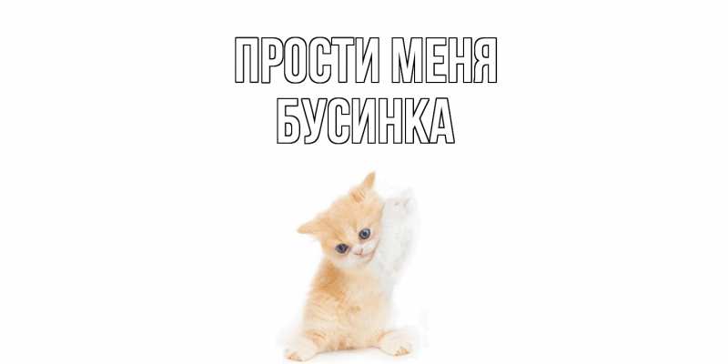 Картинка Прости меня, Бусинка