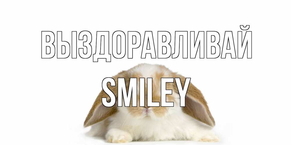 Открытка на каждый день с именем, Smiley Выздоравливай вислоухий кролик белого и коричневого цвета Прикольная открытка с пожеланием онлайн скачать бесплатно 