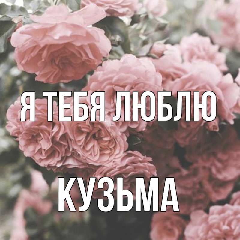 Картинка Я тебя люблю, Кузьма