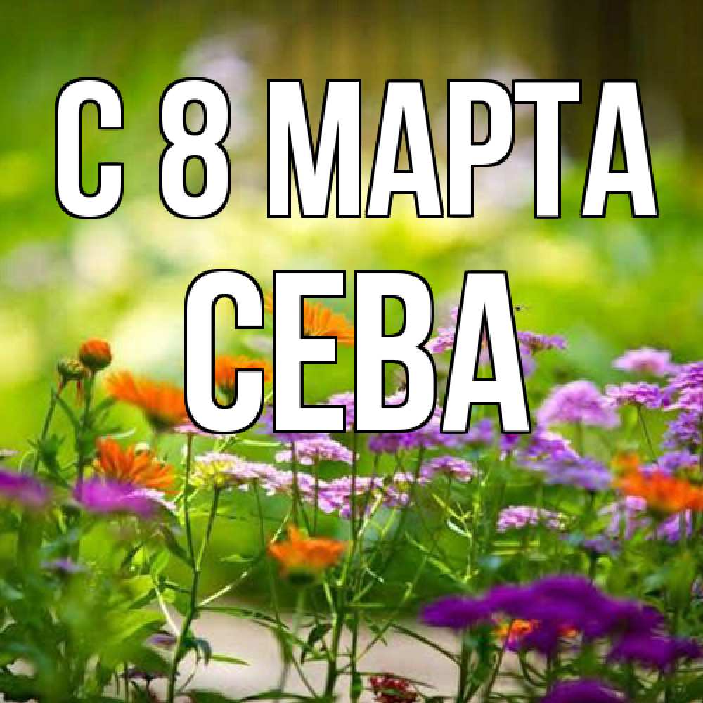 Открытка на каждый день с именем, Сева C 8 МАРТА цветы Прикольная открытка с пожеланием онлайн скачать бесплатно 