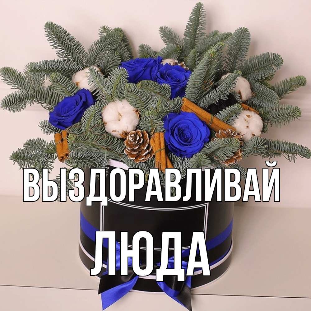 Открытка на каждый день с именем, Люда Выздоравливай короче кто то загрузил эти шишки Прикольная открытка с пожеланием онлайн скачать бесплатно 