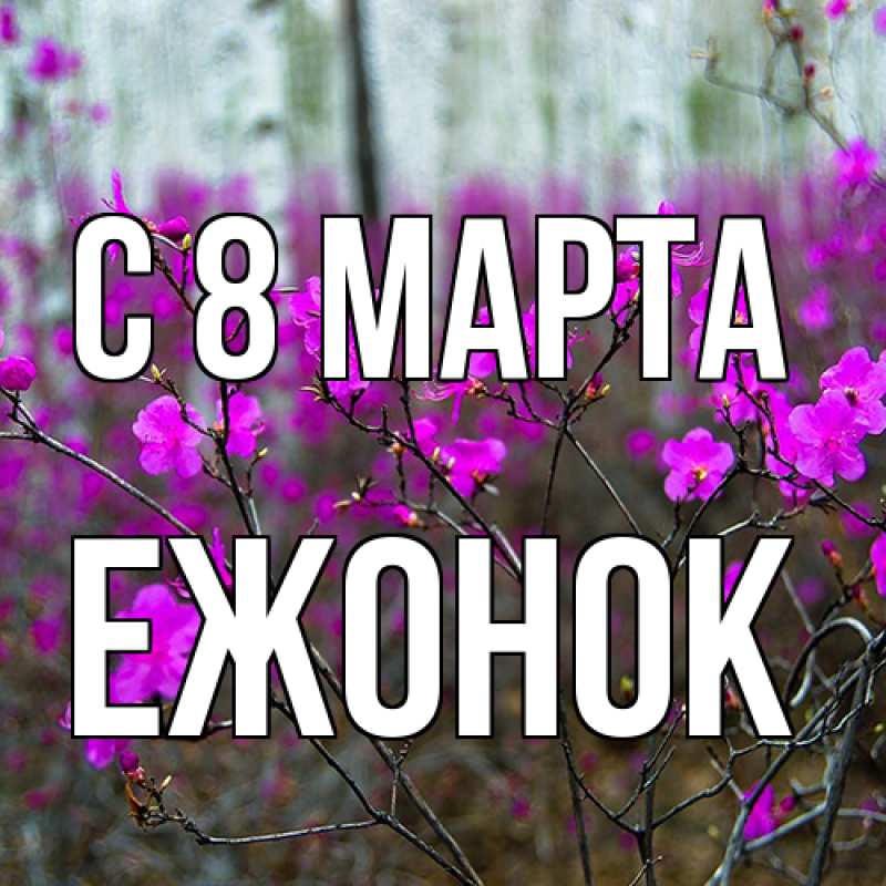 Картинка C 8 МАРТА, Ежонок