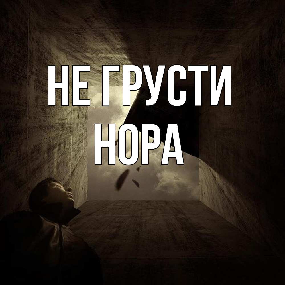 Открытка на каждый день с именем, Нора Не грусти жуть Прикольная открытка с пожеланием онлайн скачать бесплатно 