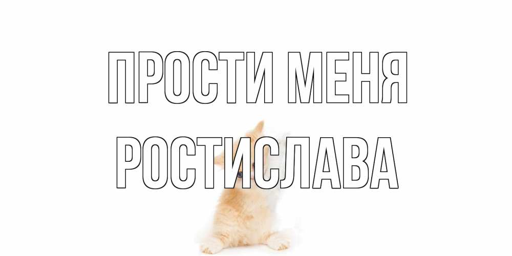 Открытка на каждый день с именем, Ростислава Прости меня кот Прикольная открытка с пожеланием онлайн скачать бесплатно 