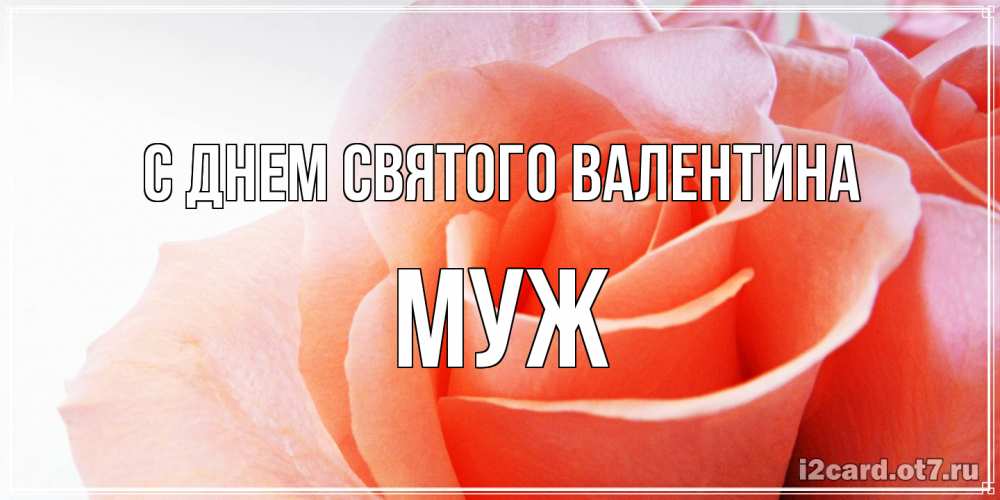 Открытка на каждый день с именем, Муж С днем Святого Валентина открытка на день Святого Валентина с розовой розой Прикольная открытка с пожеланием онлайн скачать бесплатно 