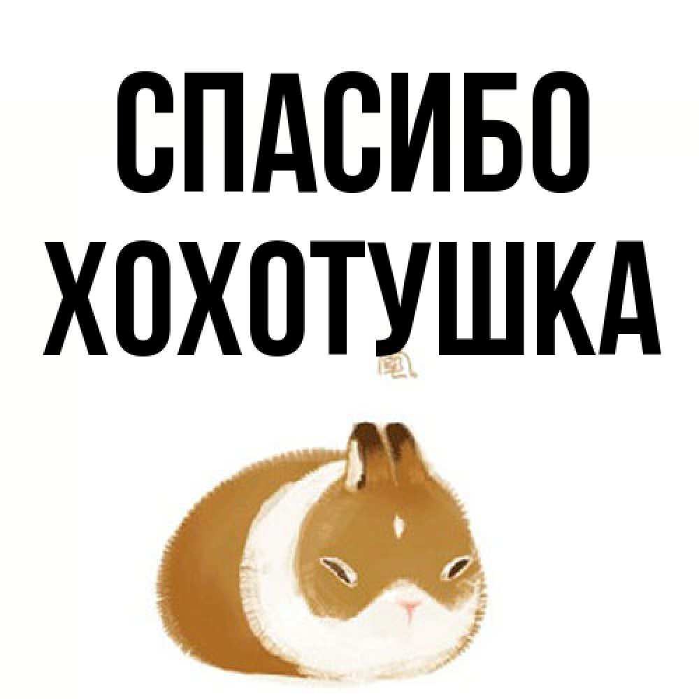 Открытка на каждый день с именем, Хохотушка Спасибо коричнево белый домашний питомец Прикольная открытка с пожеланием онлайн скачать бесплатно 