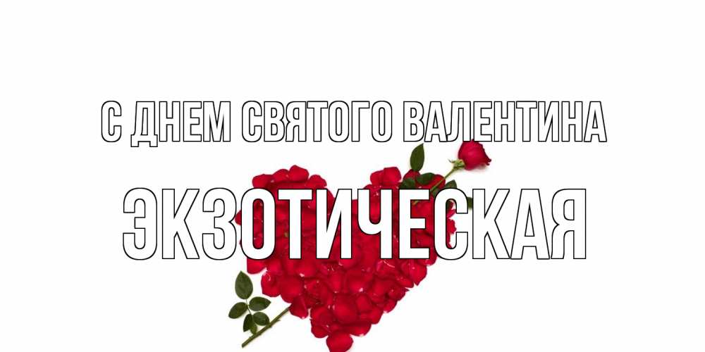 Открытка на каждый день с именем, Экзотическая С днем Святого Валентина роза как стрела амура попала в сердце из роз Прикольная открытка с пожеланием онлайн скачать бесплатно 