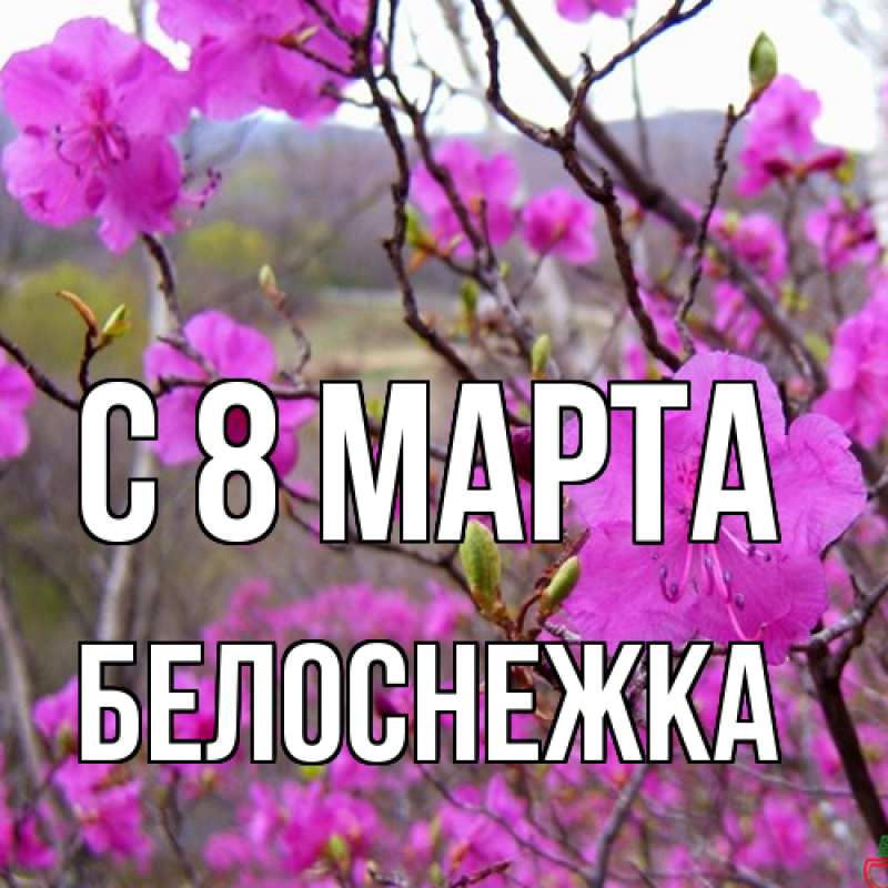 Картинка C 8 МАРТА, Белоснежка