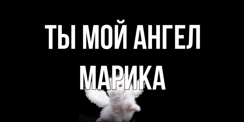 Открытка на каждый день с именем, Марика Ты мой ангел Кот ангел Прикольная открытка с пожеланием онлайн скачать бесплатно 