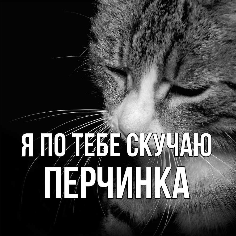 Открытка на каждый день с именем, Перчинка Я по тебе скучаю мне скучно Прикольная открытка с пожеланием онлайн скачать бесплатно 