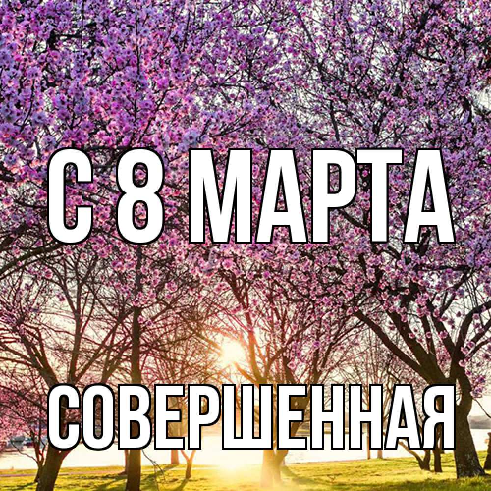 Открытка на каждый день с именем, Совершенная C 8 МАРТА международный женский день Прикольная открытка с пожеланием онлайн скачать бесплатно 