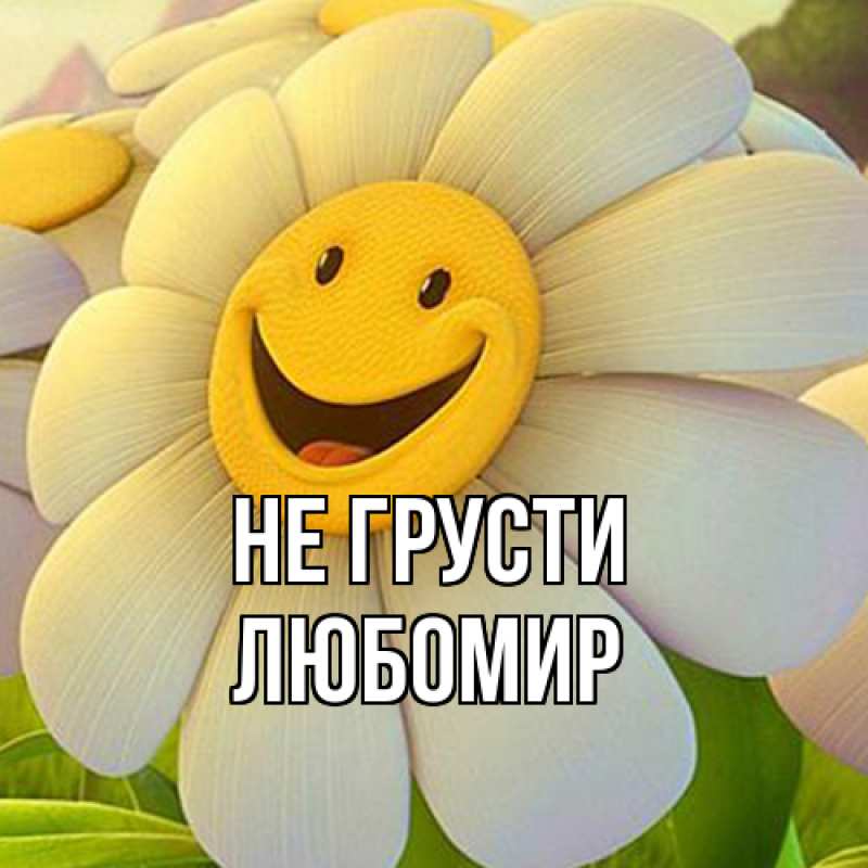 Картинка Не грусти, Любомир