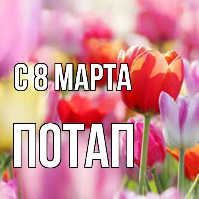 Картинка C 8 МАРТА, Потап