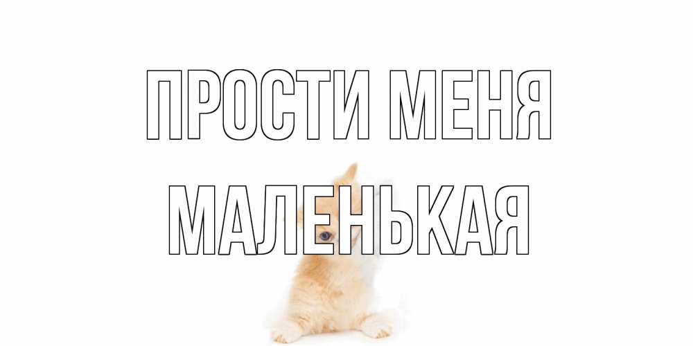 Открытка на каждый день с именем, Маленькая Прости меня кот Прикольная открытка с пожеланием онлайн скачать бесплатно 