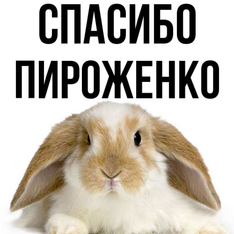 Картинка Спасибо, Пироженко